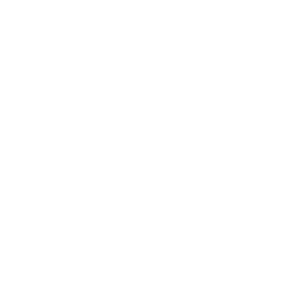 Aktivitetskonceptet